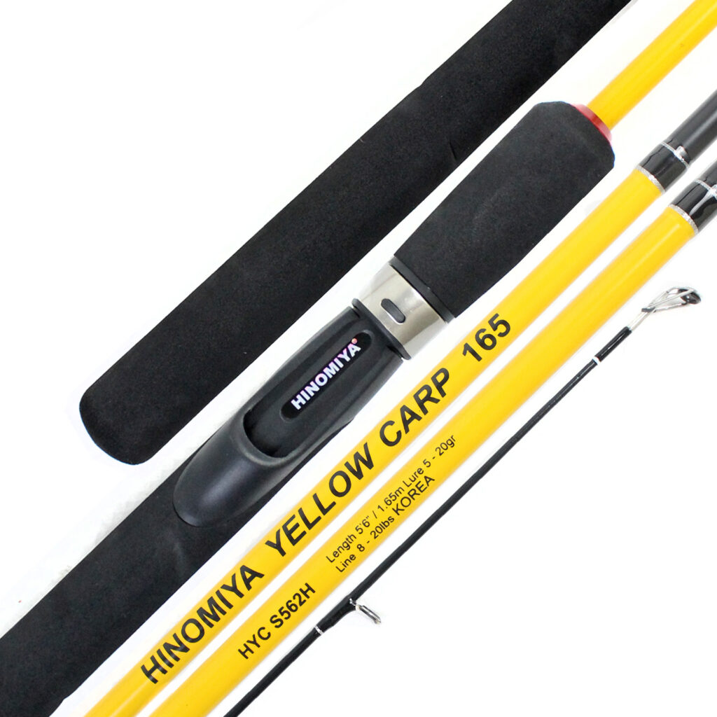 Hinomiya Yellow Carp - Image 2